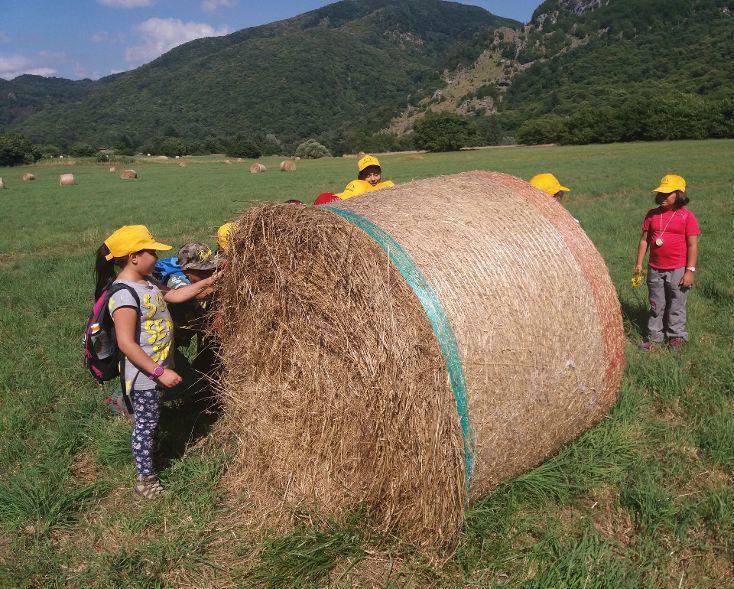 Il Parco Delle Apuane Apre Le Porte Ai Bimbi