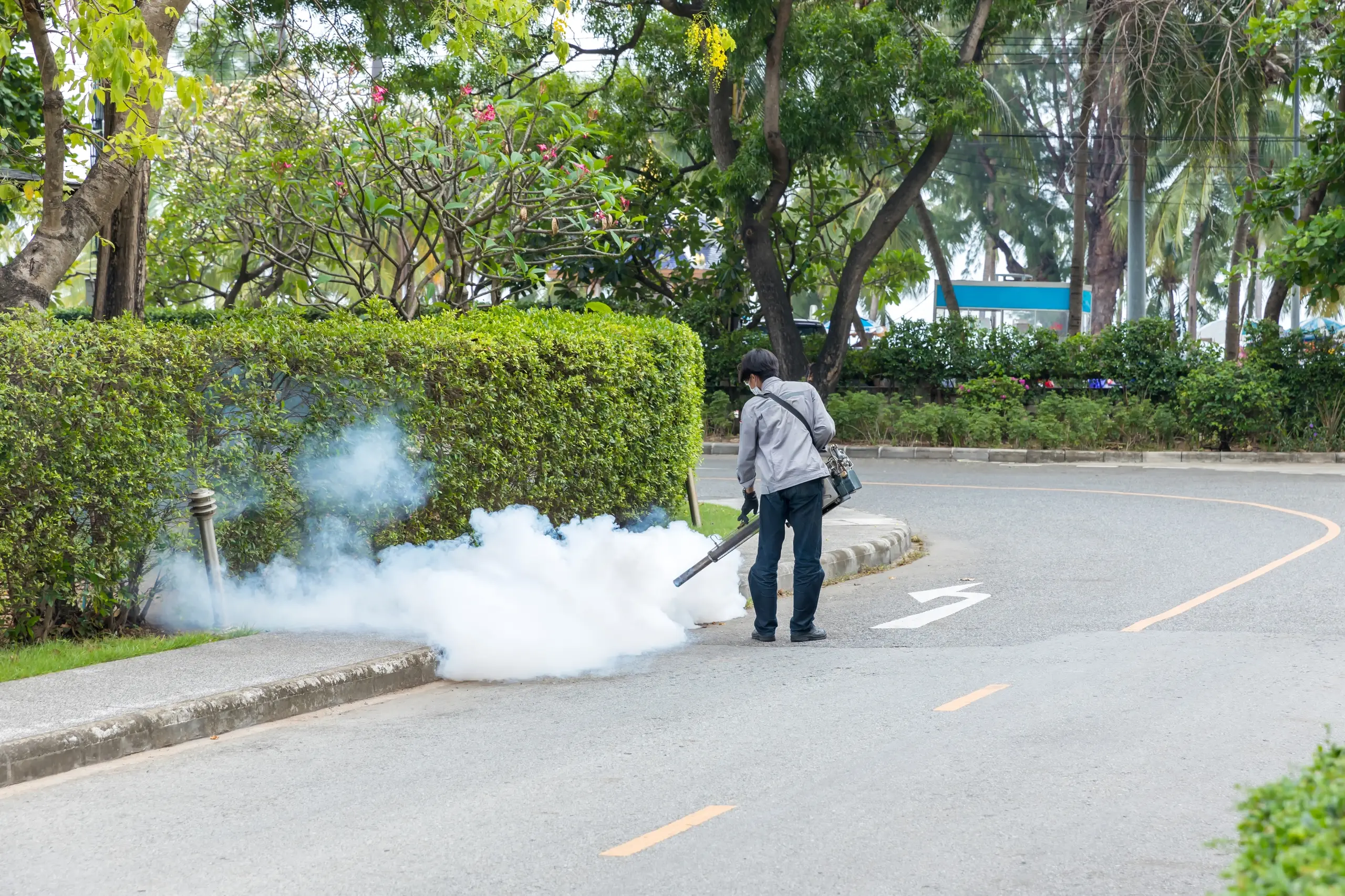 Dengue. Al via la disinfestazione a Montevarchi