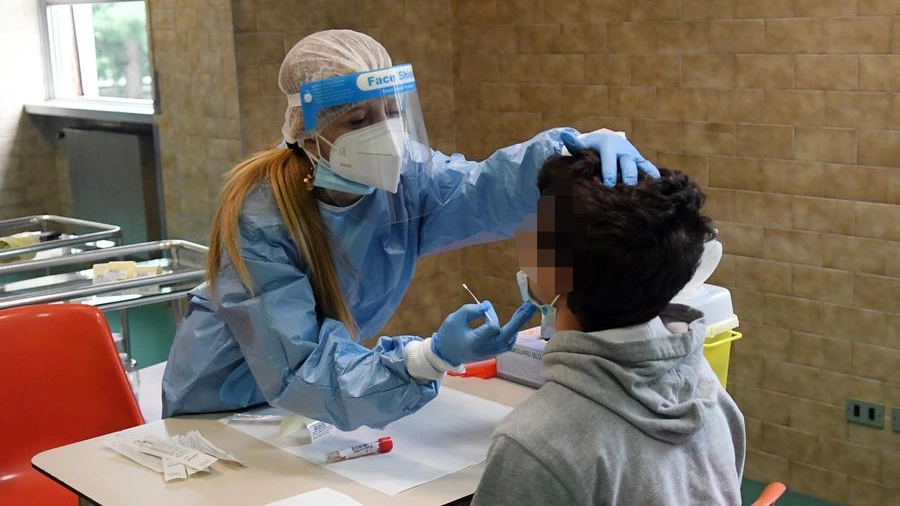 Covid, tamponi nelle scuole (Foto Ansa)