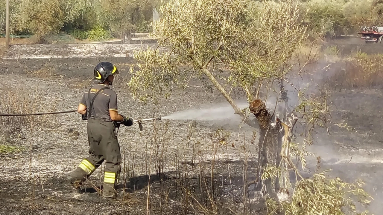 I vigili del fuoco in azione