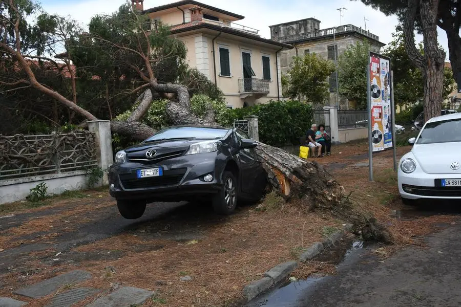 Maltempo Toscana e Liguria, oggi temporali sparsi. Grandine a Firenze