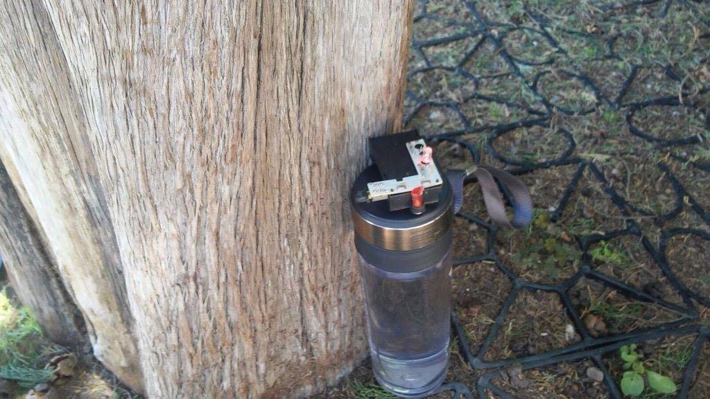 Falso Allarme Bomba Sotto La Torre. "Un Gesto Volontario Per Creare ...