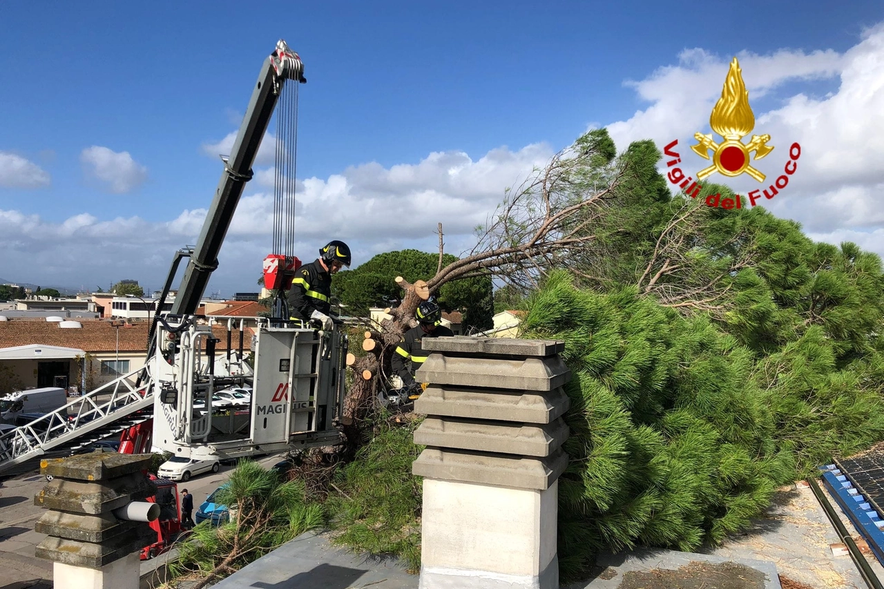 Un pino è caduto su una casa a Scandicci