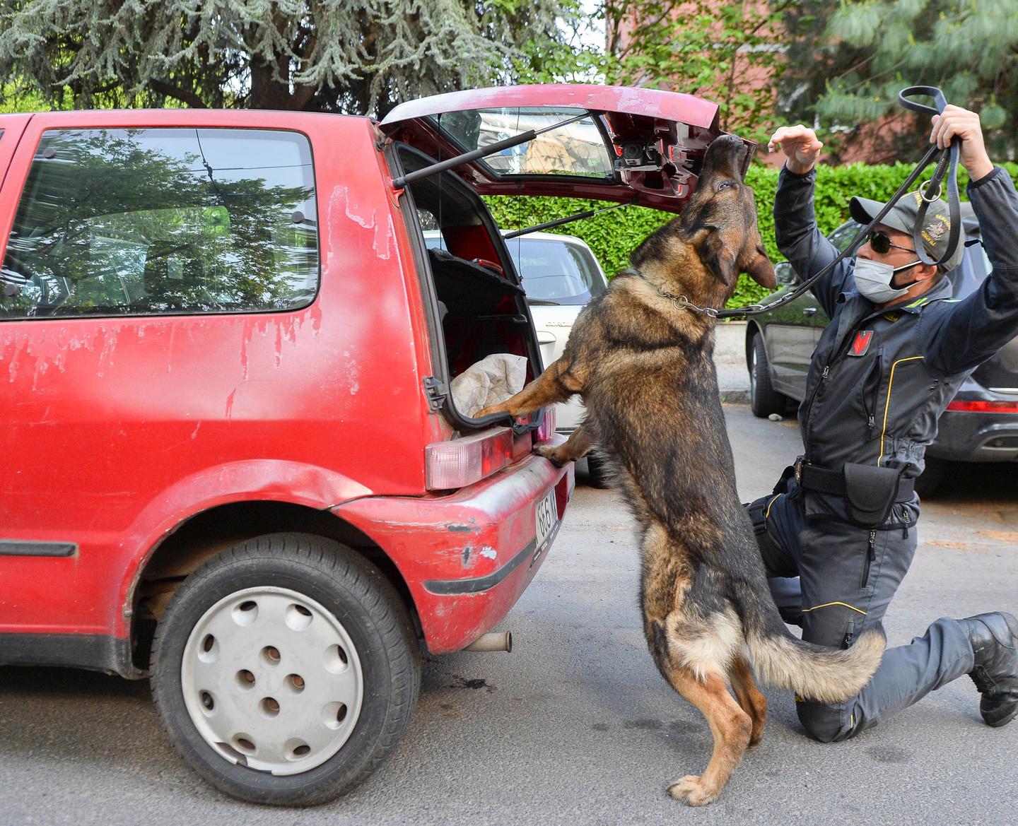 Locali Al Setaccio Delle Fiamme Gialle Con I Cani Antidroga Blitz In Centro E In Stazione