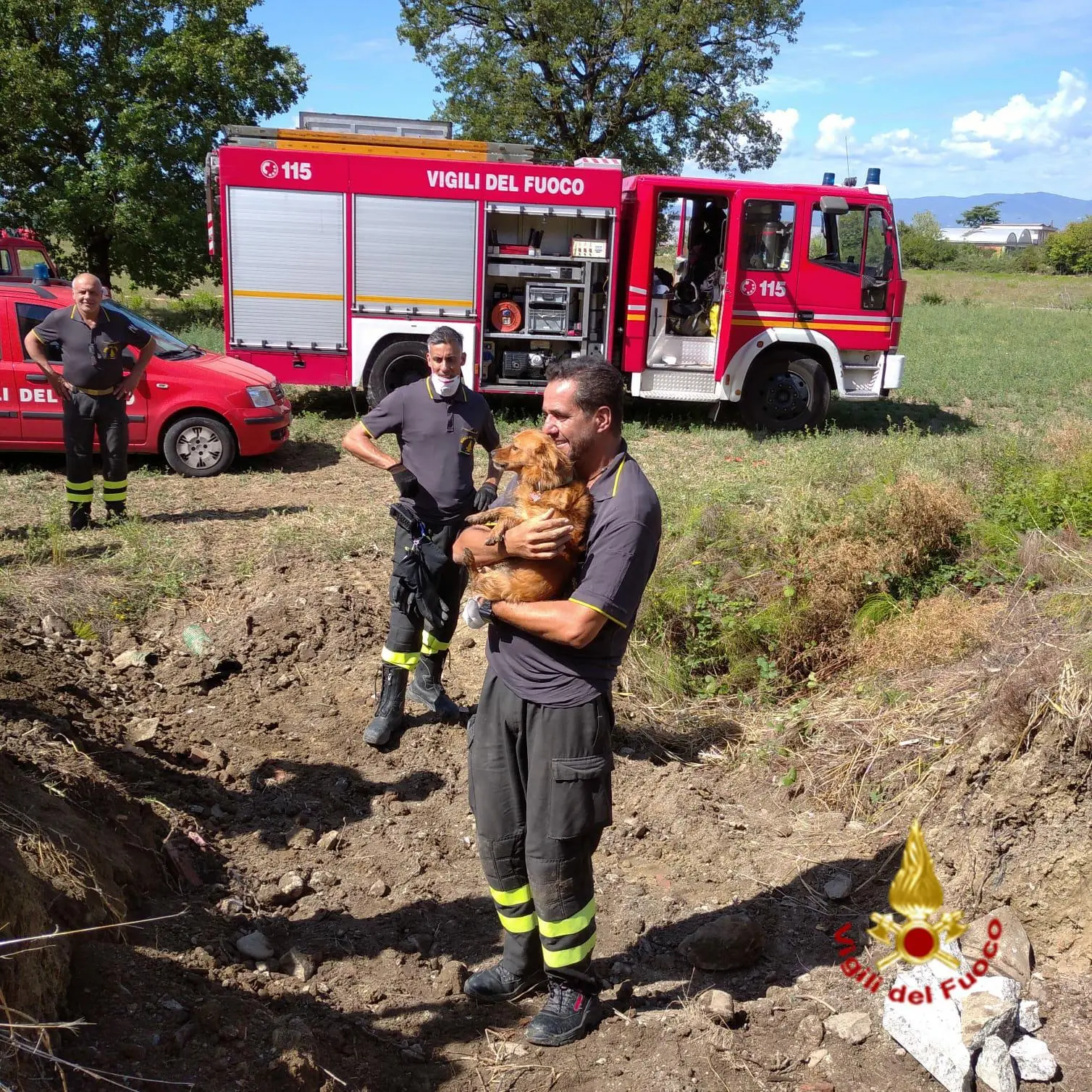 Cane salvato dai vigili del fuoco