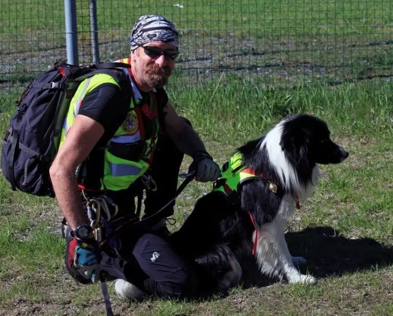 Unità cinofila del Soccorso alpino: fiuti eccellenti a lezione per salvare vite