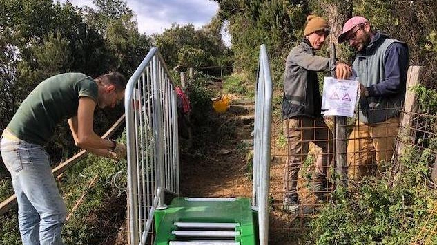 Barriere visive contro i cinghiali: "Proteggiamo le aree coltivate"