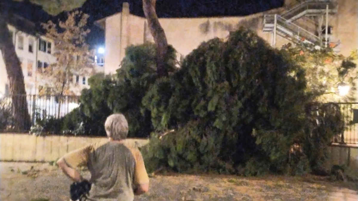 Il grosso piano caduto in piazza dei Ciompi (Foto da Facebook)