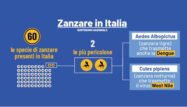 Toscana in preallerta per il primo caso autoctono di Dengue. Cosa significa, rischi e contromisure