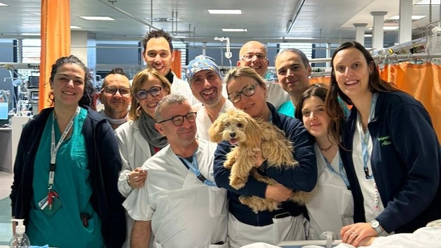 La padrona è ricoverata, cagnolino in visita nella struttura di Rianimazione e Terapia Intensiva dell’Ospedale di Prato