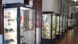 Museo di Scienze della Terra