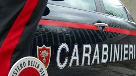 L'indagine dei carabinieri (Foto Ansa)