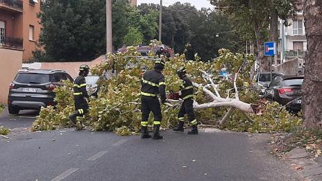 Maltempo in Toscana, vento forte e alberi caduti. Giornata difficile sulla costa per le raffiche