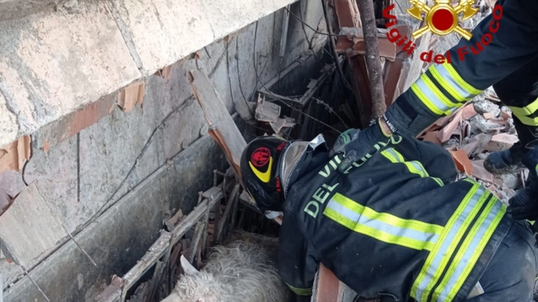 Sul posto i vigili del fuoco