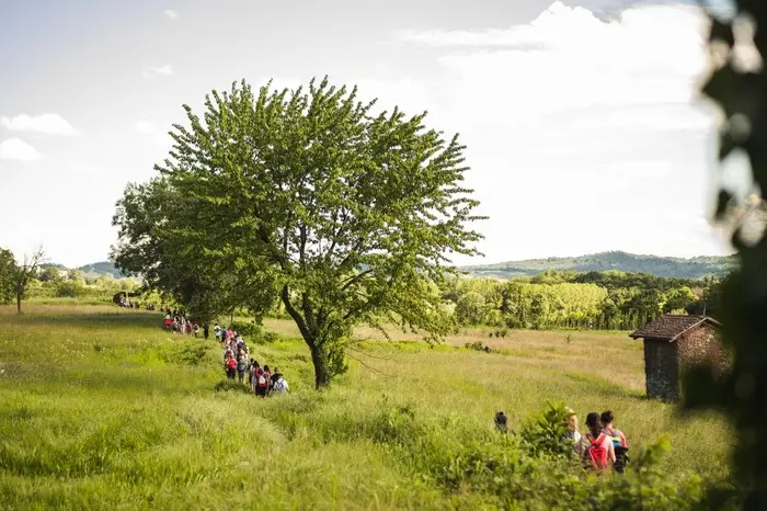 L’avventura della Walking Francigena Ultramarathon: percorso e tappe