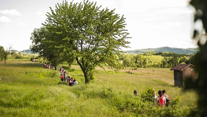 Via francigena (foto d'archivio, Ansa)