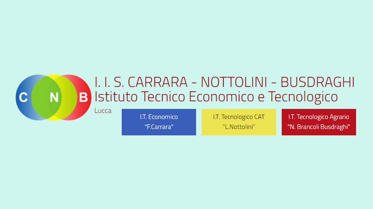 IIS Carrara-Nottolini-Busdraghi