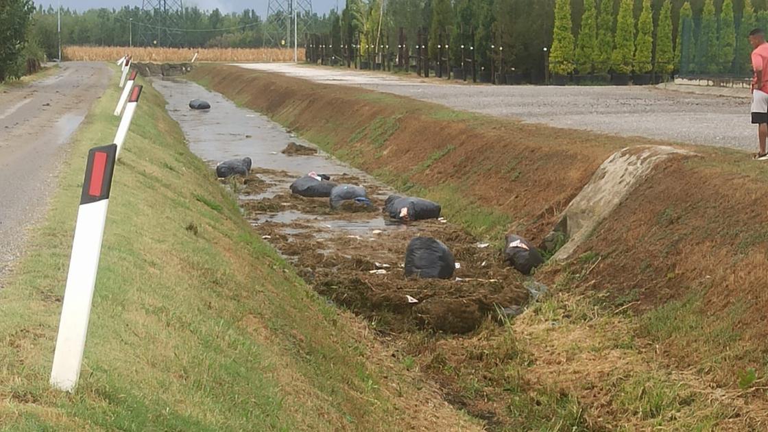 Oltre all’acqua i sacchi neri. “Torrente intasato dai rifiuti. Danni per oltre 30mila euro”