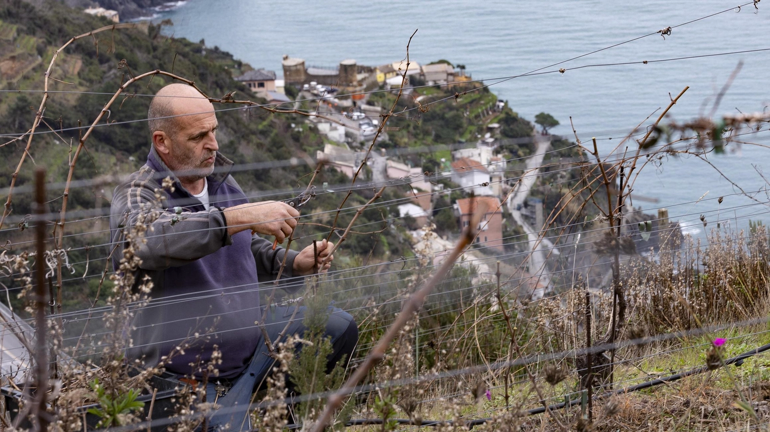 Manutenzione del paesaggio. Un albo delle aziende agricole per    sentieri e terrazzamenti