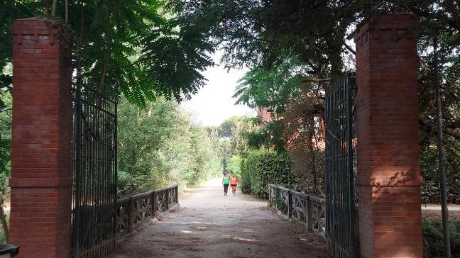 Una delle due telecamere verrà piazzata nella zona in prossimità dell’ingresso del parco della Versiliana, transitato anche da chi non è autorizzato