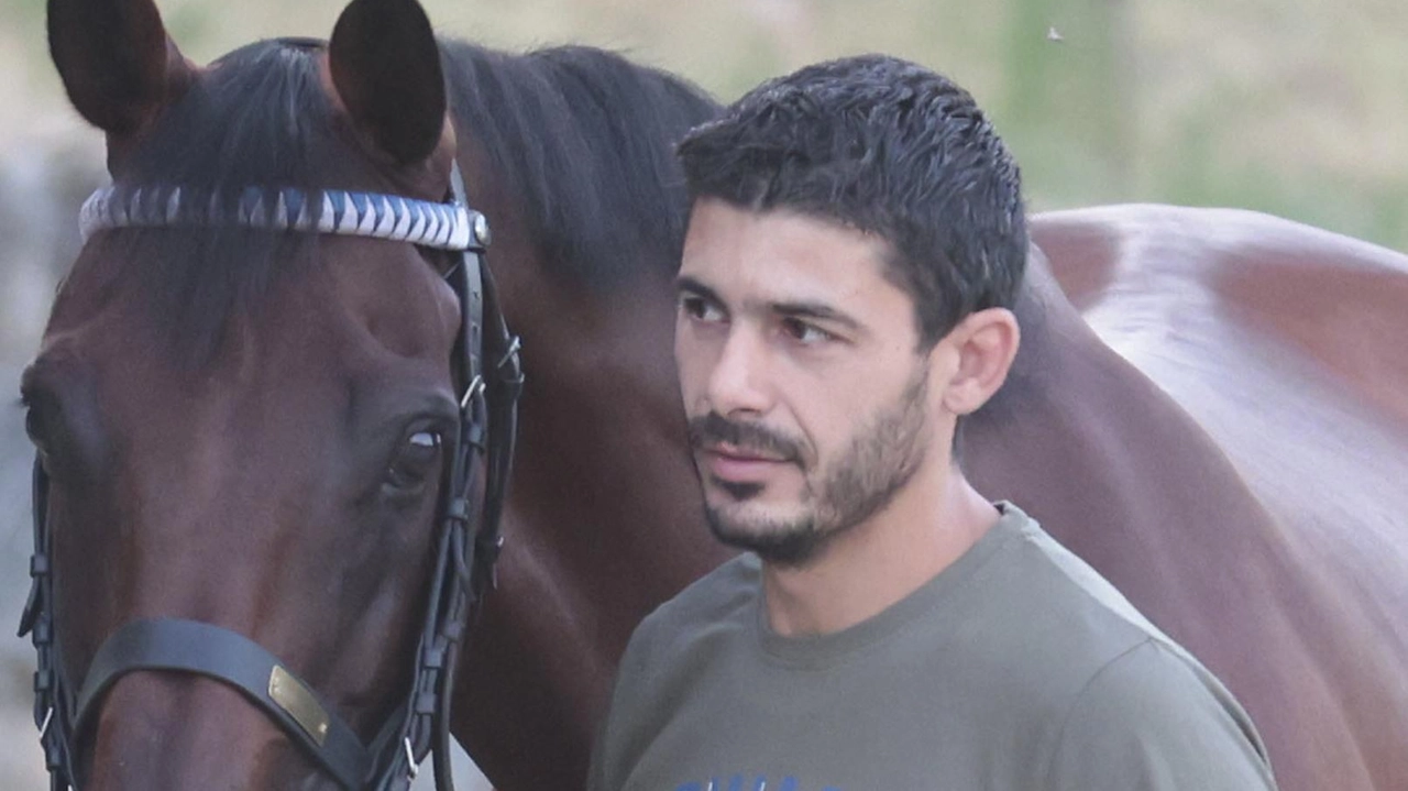 Il cavallo Ungaros non è stato incluso nella lista dei promossi per il Palio di agosto a Siena, forse a causa delle escoriazioni riportate in una scivolata. Il proprietario del barbero, Sebastiano Murtas, sospetta che non sia stato valutato al 100% dopo l'incidente di luglio. Tuttavia, la carriera del cavallo non è finita e potrebbe ancora competere in futuro.