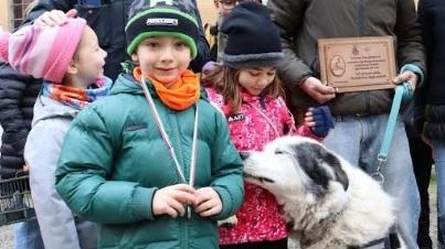 Successo della benedizione degli animali a San Miniato. Presenti anche una quarantina di cavalli e cavalieri, che hanno reso ancor...