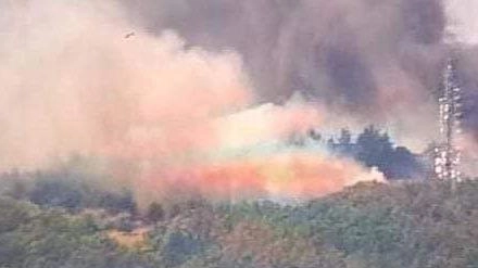 Incendio a Monsummano Terme: situazione monitorata e bonificata, nessuna vittima. Agriturismi vicini salvati dal vento contrario. Autorità valutano danni e cause.