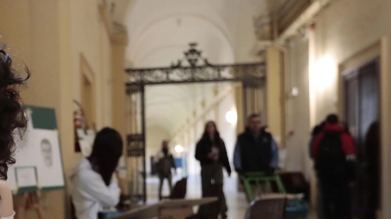 Studenti nei locali del liceo Piccolomini dove sono stati avvistati dei topi, il dirigente ha subito richiesto la disinfestazione