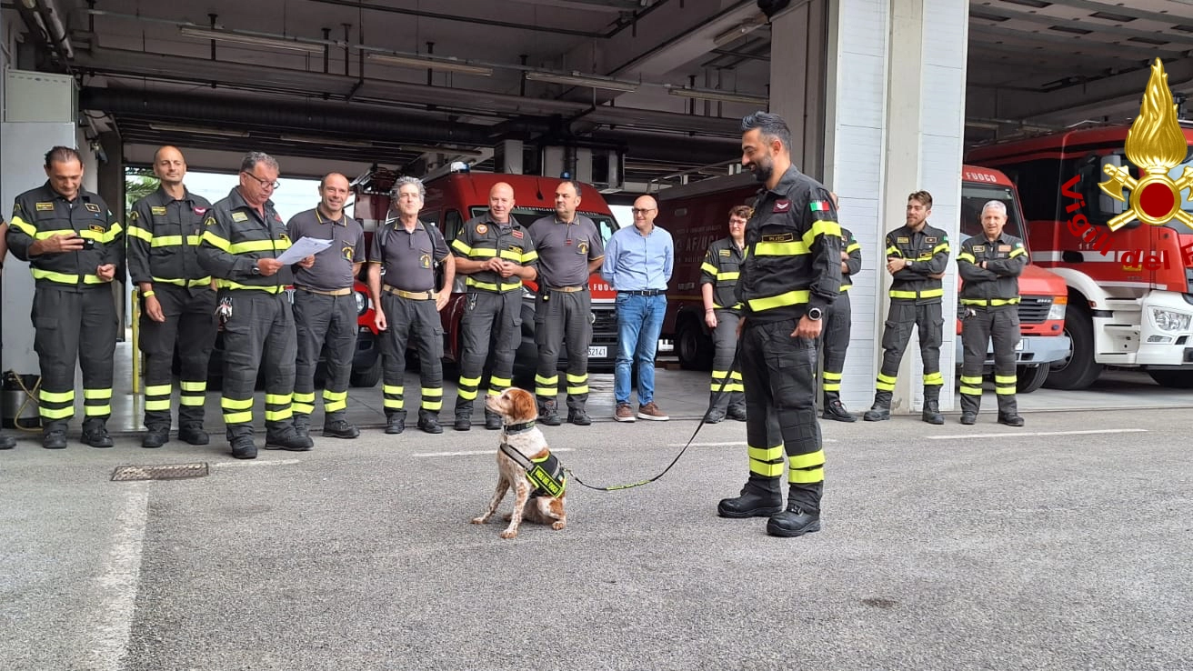 Il cane Foglia dei vigili del fuoco va in pensione