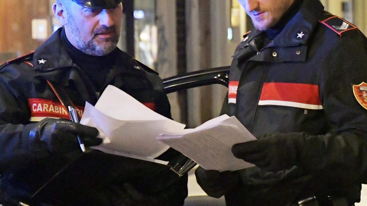 I carabinieri sono intervenuti per un tentato furto in un negozio di elettronica e al loro arrivo sono stati minacciati