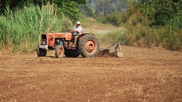 Il Piano 2025 di Regione Liguria per l'agricoltura