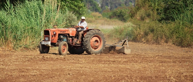 Agricoltura e Pesca, approvato dalla Regione Liguria il Piano 2025