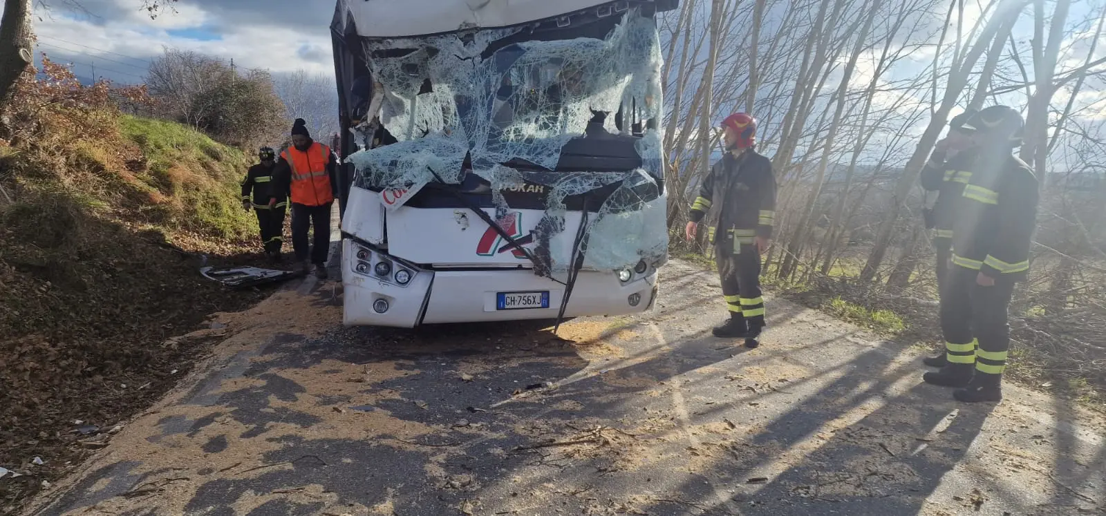 Albero cade su uno scuolabus, paura per i bambini: “Non ho avuto nemmeno il tempo di frenare”