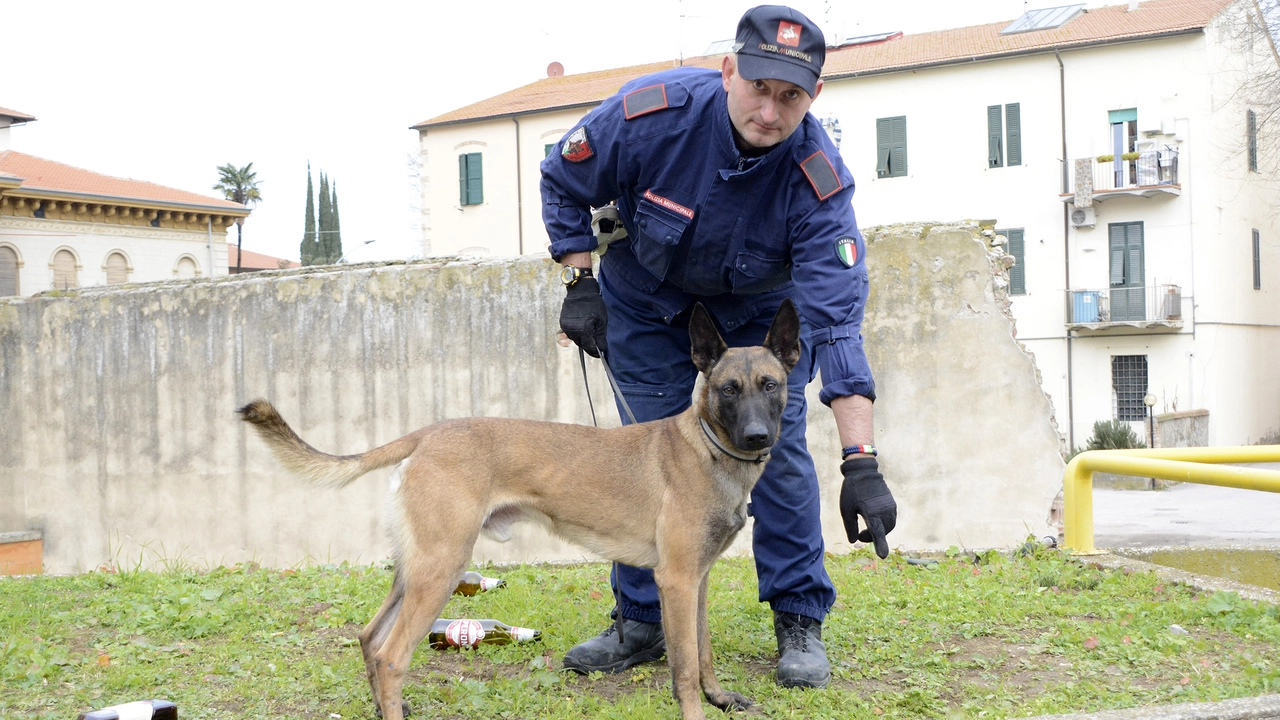 In via Turri segnalate spugnette imbevute di sostanze commestibili. I residenti chiedono più controlli