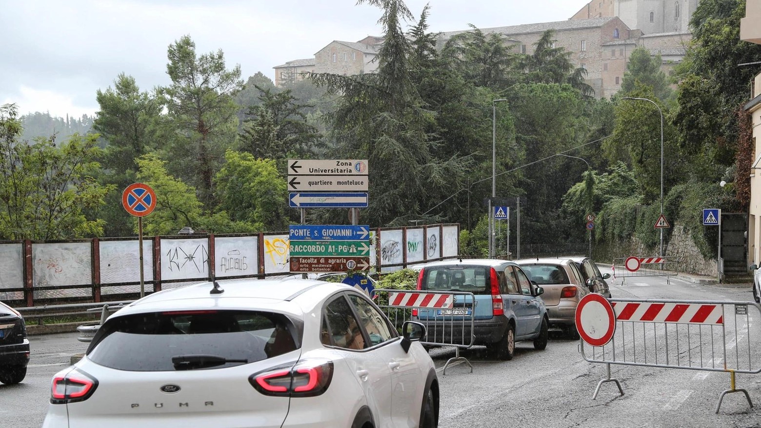 Perugia ad alto rischio. Via Ripa di Meana ko. Cade un grosso albero . Strada chiusa e caos