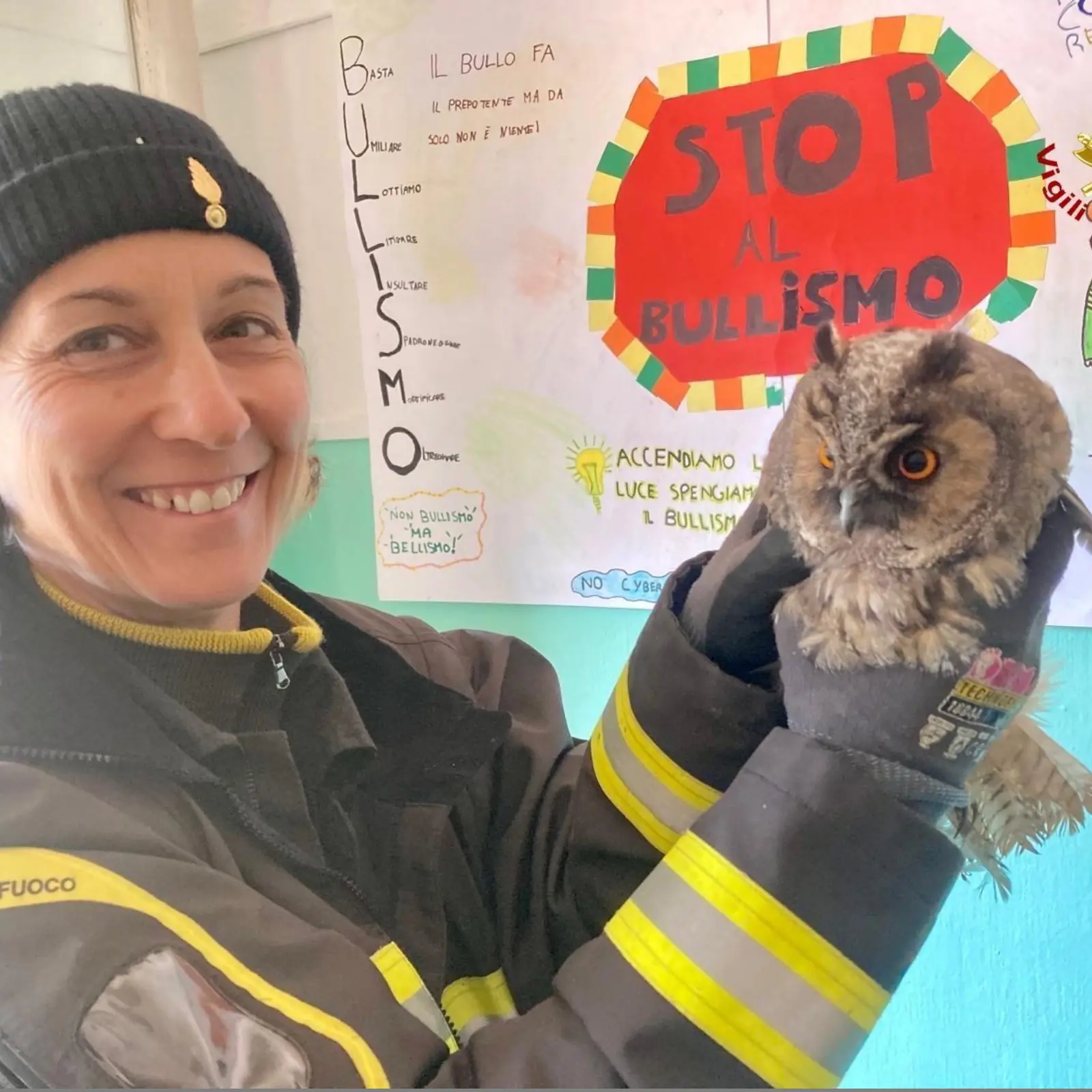 Un rapace incastrato nella rete della scuola: salvato dai vigili del fuoco