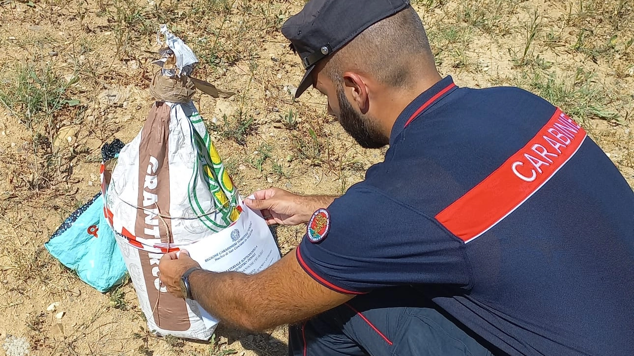 I carabinieri intervenuti sul posto con le prove dell'attività illecita