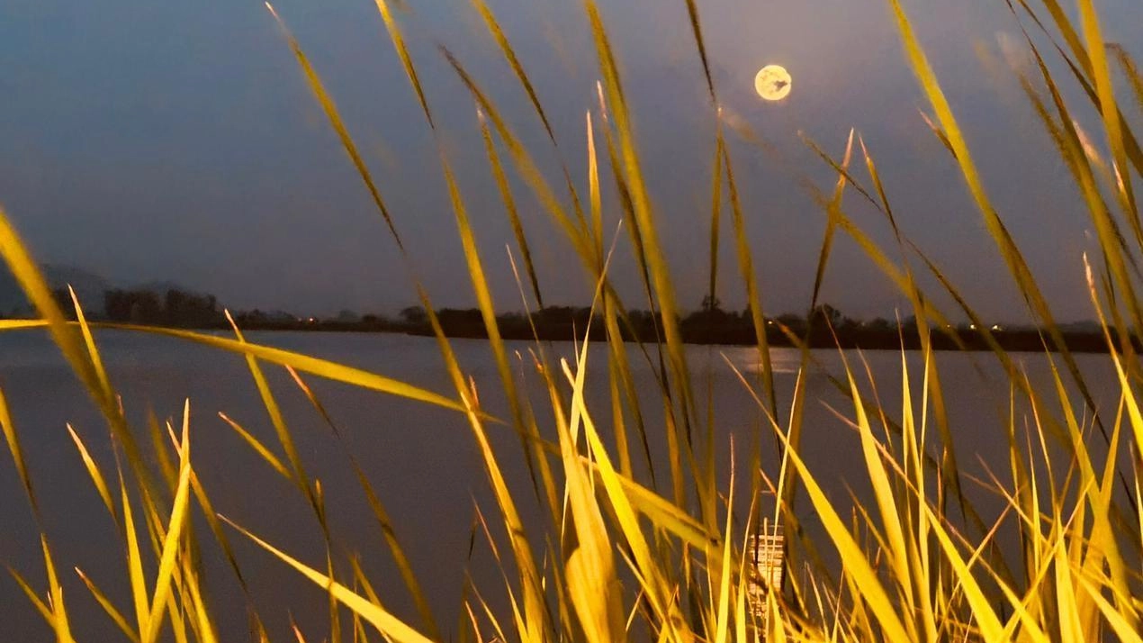 L'edificio La Brilla, ora chiamato la Porta del Lago, a Massaciuccoli, offre un viaggio nella storia romana e nel paesaggio naturale circostante, con la presenza di importanti siti archeologici e la suggestiva presenza del lago.