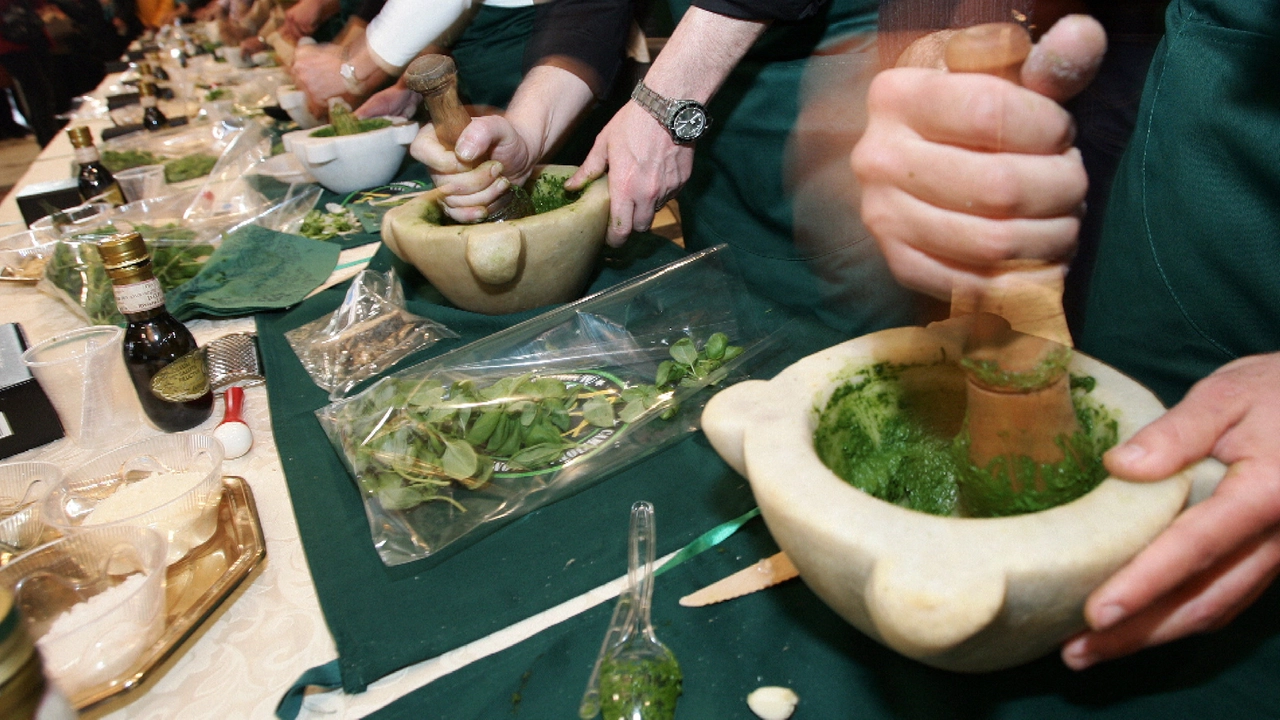 Il pesto più buono e caro al mondo "si può fare solo col pinolo pisano"