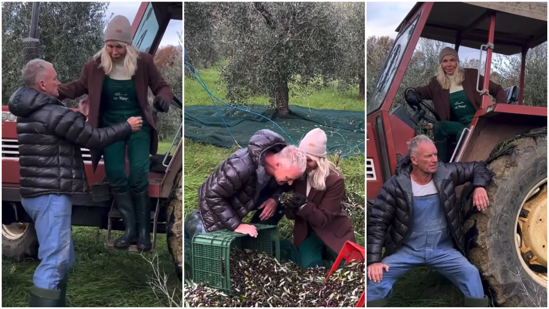 Sting e Trudie Styler versione agricoltori, premiato il loro olio made in Toscana