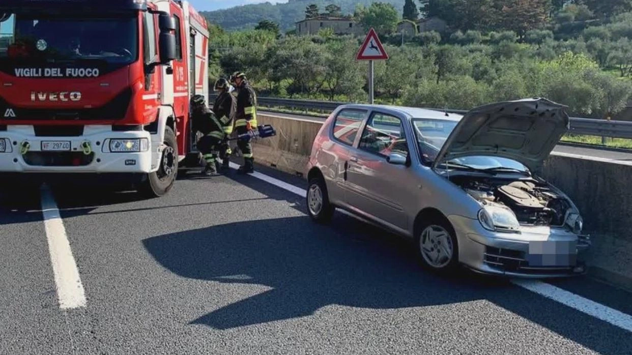 Incidente sull'A11 a Montecatini Terme: auto si schianta contro barriera, guidatore di 78 anni incastrato. Soccorso dai vigili del fuoco e trasportato in ospedale. Viabilità regolamentata.