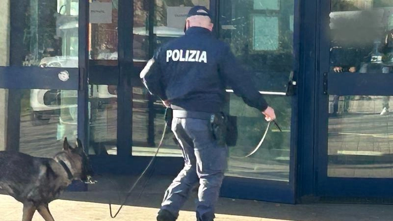 Controlli della polizia