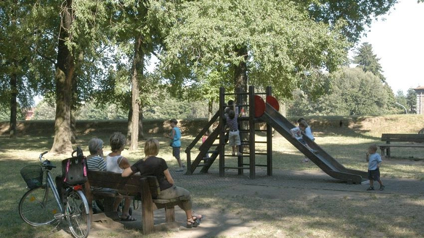 Firmata ieri l’ordinanza per l’abbattimento di 11 alberi ad alto rischio di cedimento sulle Mura. Nelle perizie degli agronomi gli...