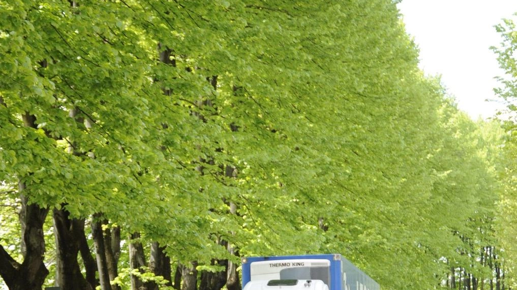 Auto in coda lungo i viali, adesso si lavora a una soluzione tra i Comuni della Piana