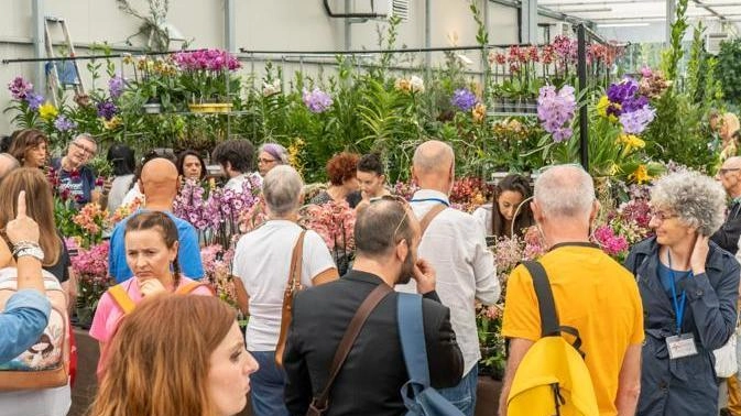 Convegno sul turismo sostenibile e l’alleanza con il Giappone