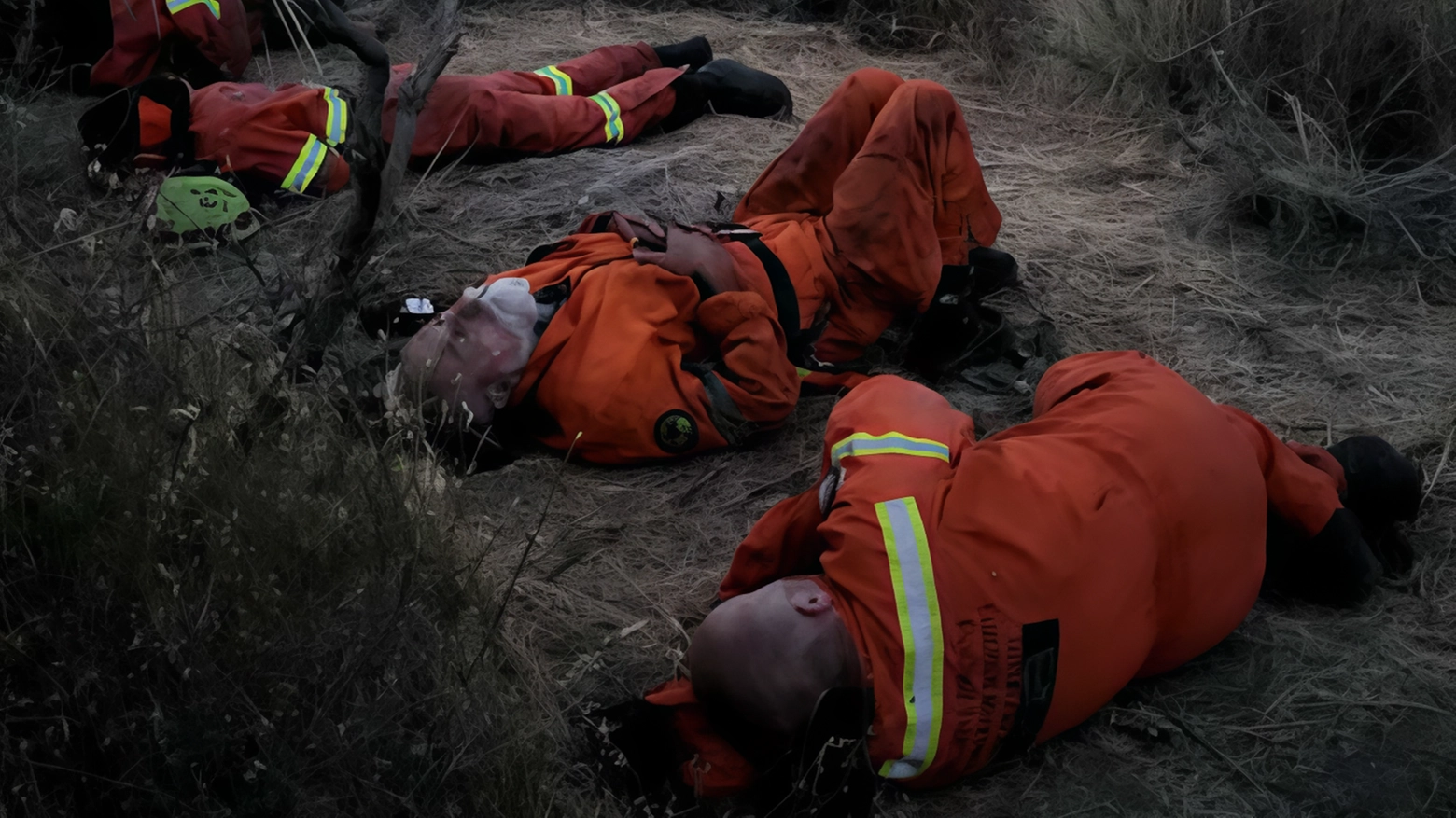 Notte contro il fuoco. Nove ettari in fiamme. Il racconto dei volontari: "Stremati dalla fatica"