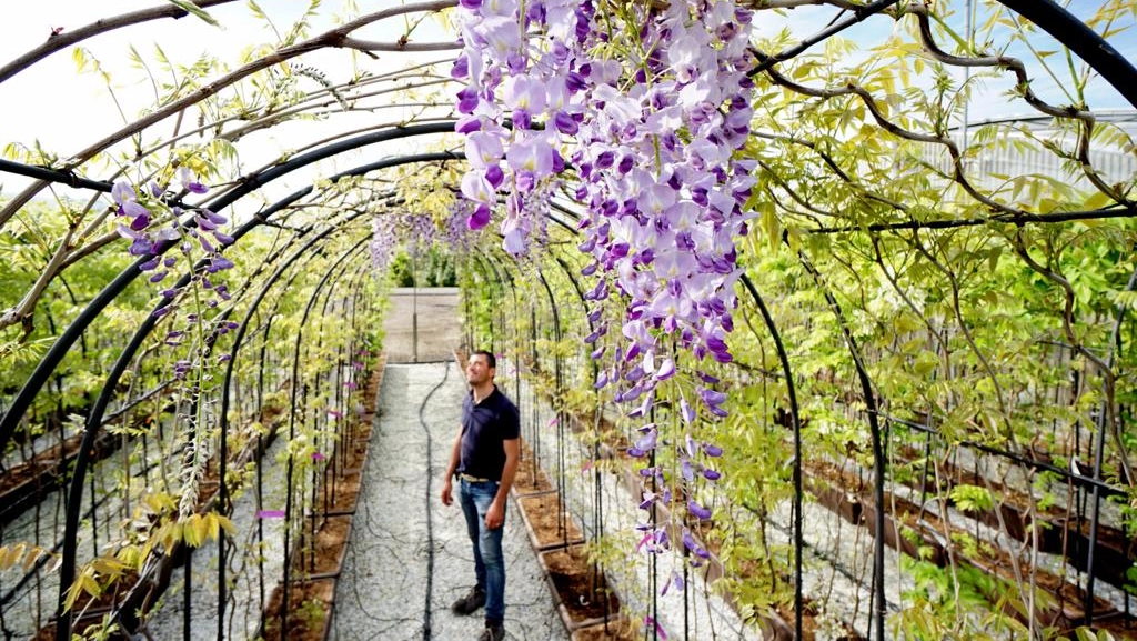 Nel summit con i più grandi vivaisti europei che si è svolto al Nursery Campus si è parlato del futuro del comparto verde