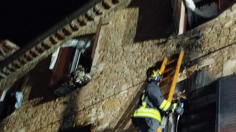 Incendio in abitazione. Muoiono 12 cani