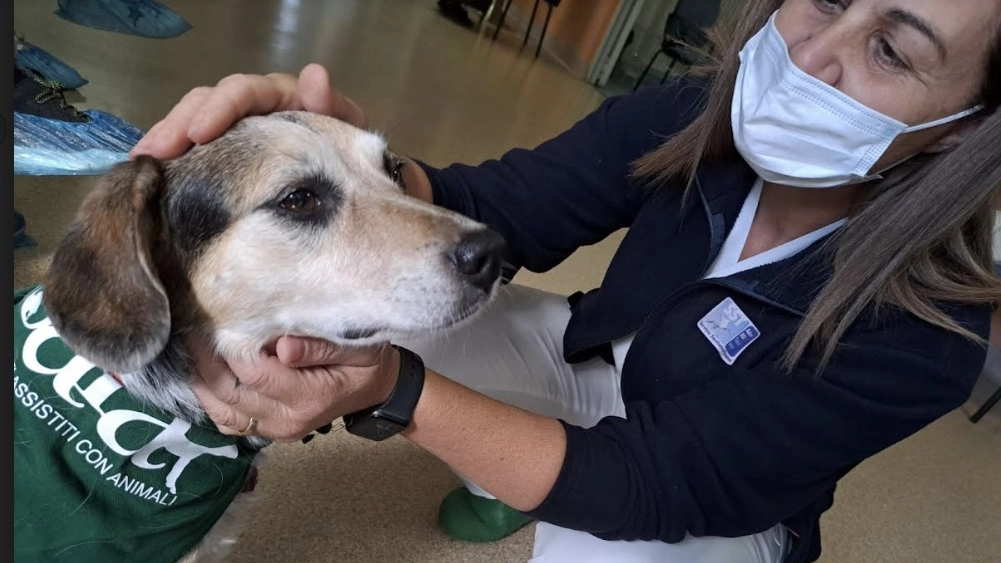 Tilly con un'operatrice sanitaria