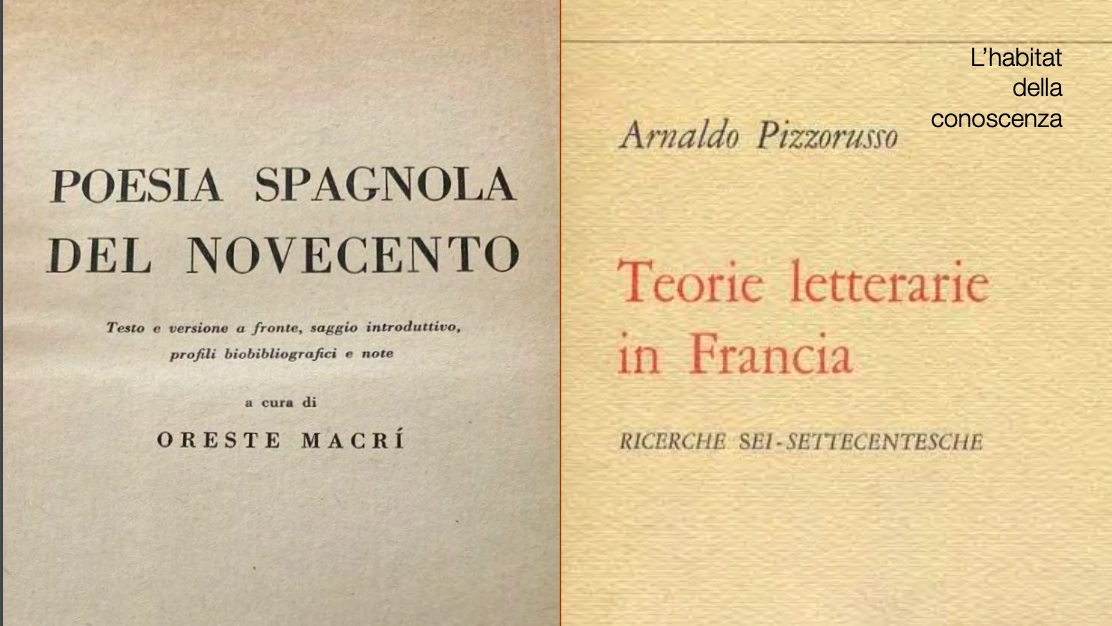 Due testi di Macrì e Pizzorusso